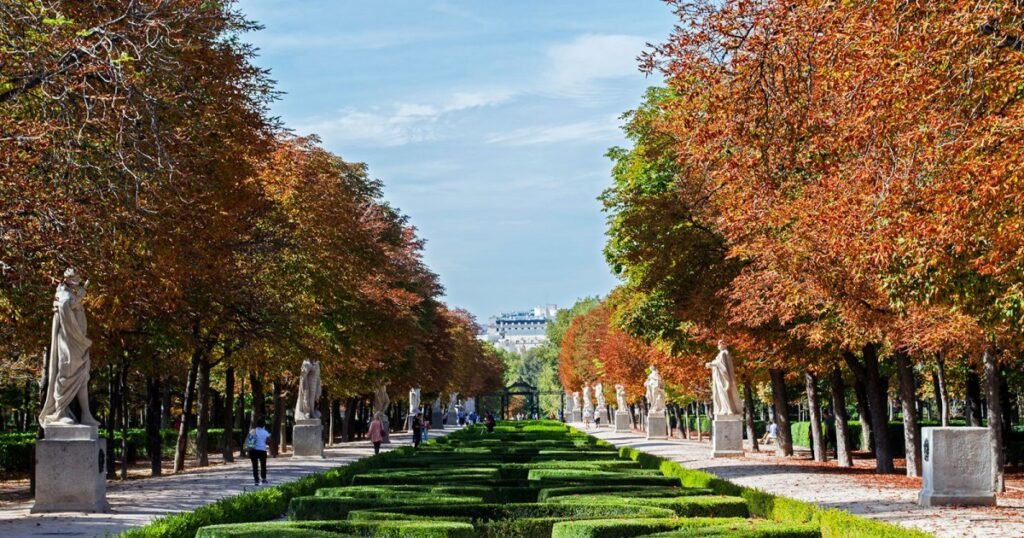 🌳 حديقة ريتيرو